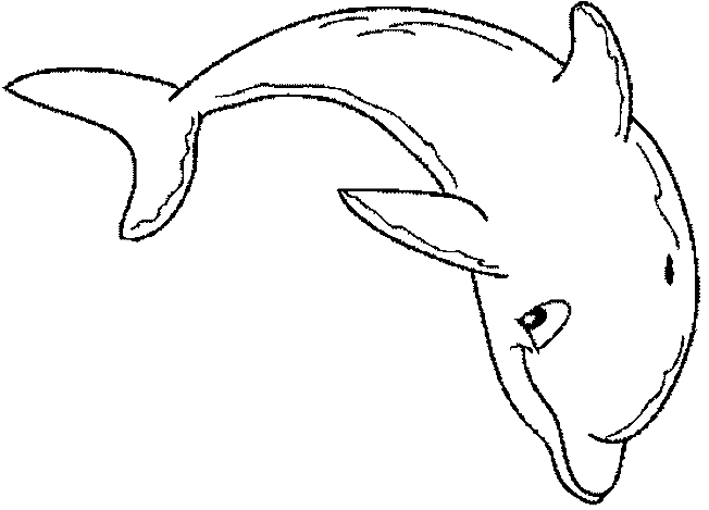 rub Coloriage Dauphins